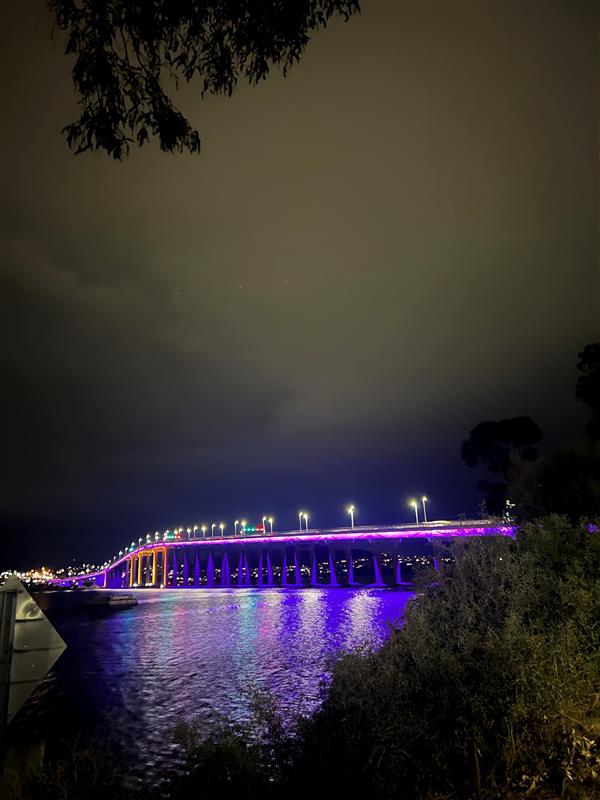 purple bridge