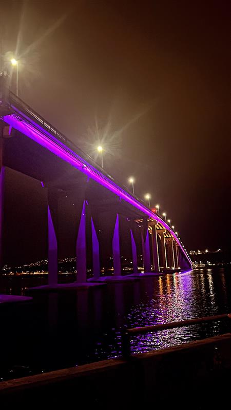 purple bridge 1